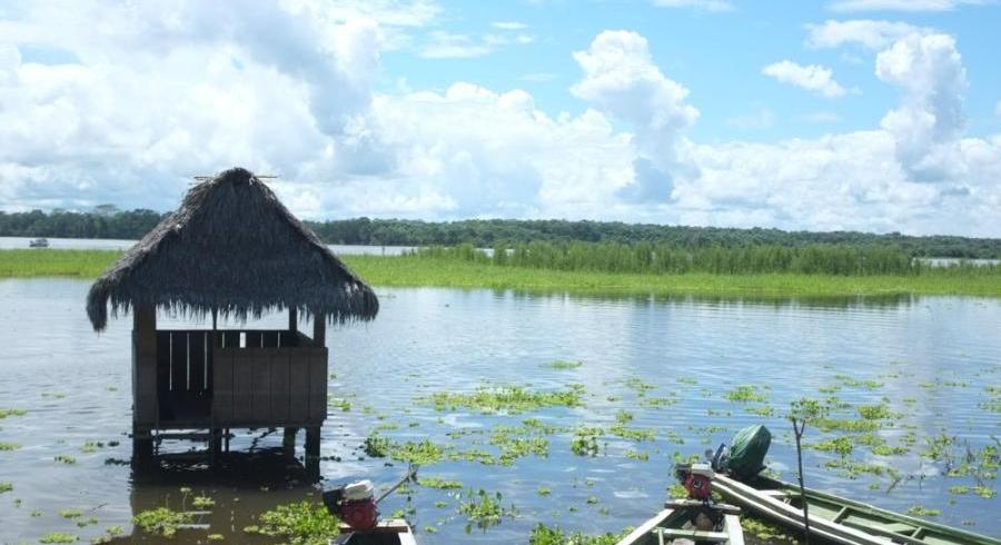 Routes and trails to explore nature near our hotel in Iquitos
