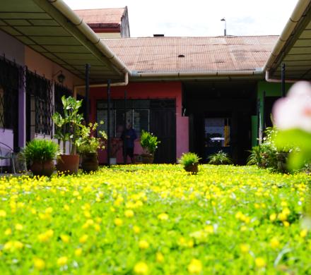 Patio, La Casa del Paúcar.