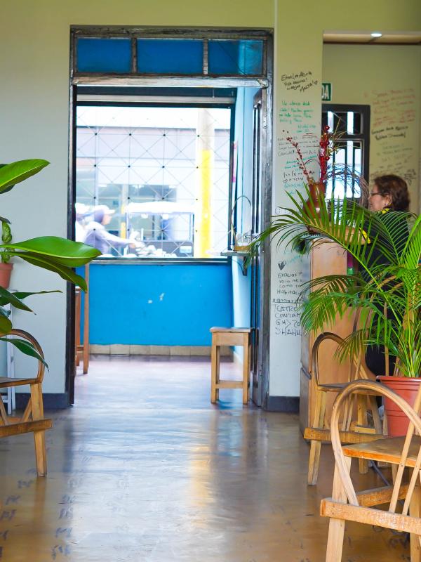 Hall, La Casa del Paúcar.